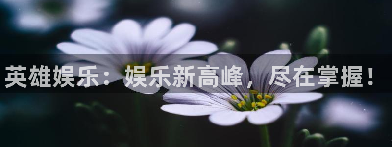 天富平台体育官网登录：英雄娱乐：娱乐新高峰，尽在掌握！