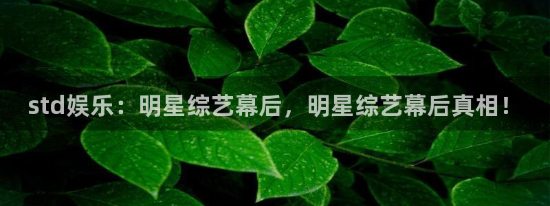 天富平台注册：std娱乐：明星综艺幕后，明星综艺幕后真相！