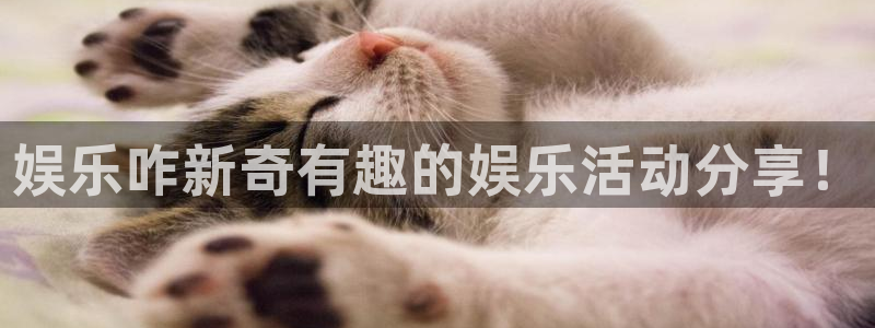 天富平台注册登录入口：娱乐咋新奇有趣的娱乐活动分享！