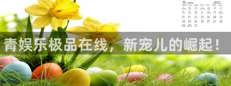 天富平台游戏官网入口：青娱乐极品在线，新宠儿的崛起！