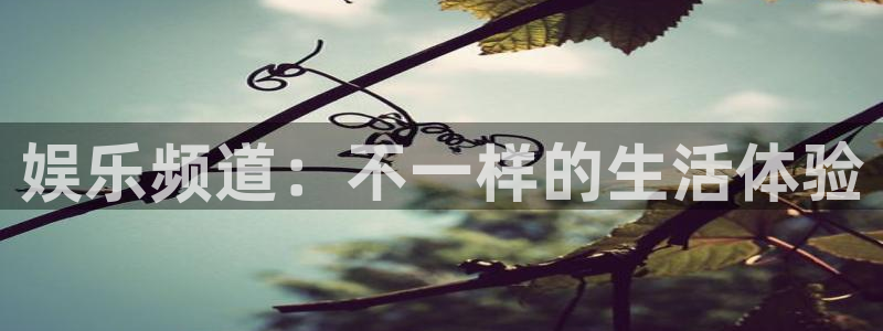 天富平台下载链接是多少：娱乐频道：不一样的生活体验