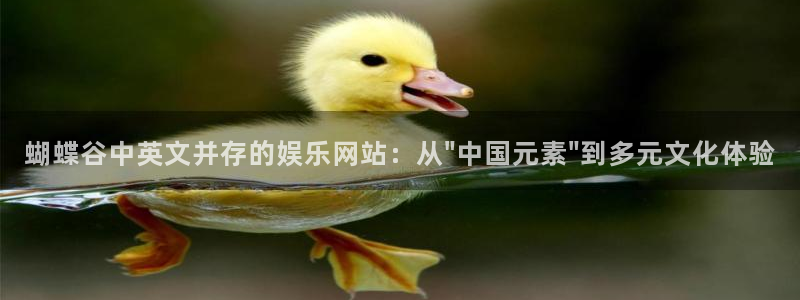 天富平台官网版