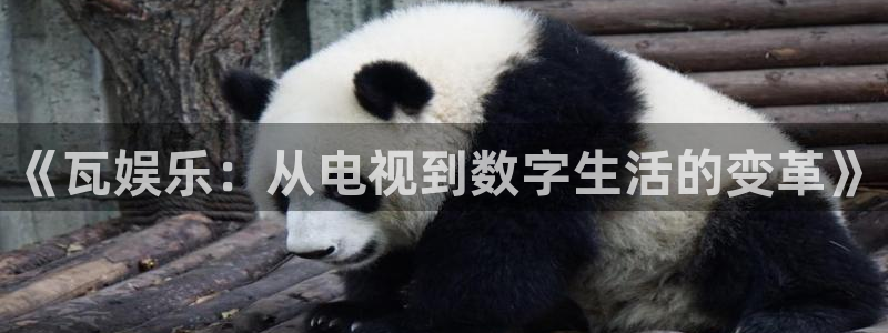 天富平台.ccm苹果版：《瓦娱乐：从电视到数字生活的变革》