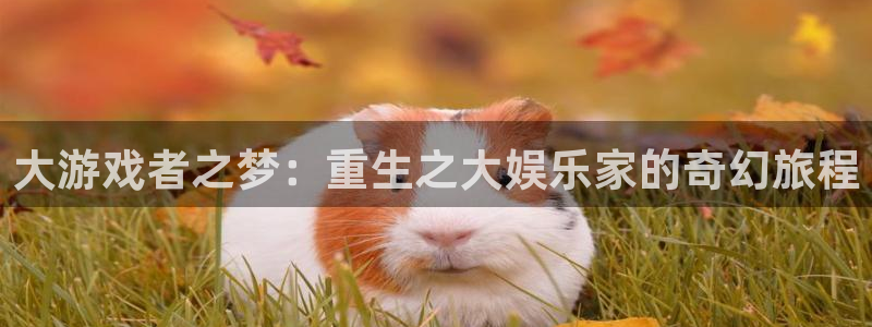 佛山市南海天富平台机电仪器有限公司：大游戏者之梦：重生之大娱乐家的奇幻旅程