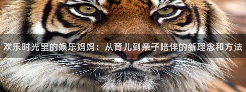 天富平台手机版下载：欢乐时光里的娱乐妈妈：从育儿到亲子陪伴的新理念和方法