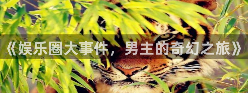 天富平台平台官网版下载：《娱乐圈大事件，男主的奇幻之旅》