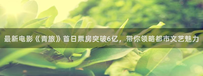 天富平台体育2官网入口：最新电影《青旅》首日票房突破6亿，带你领略都市文艺魅力