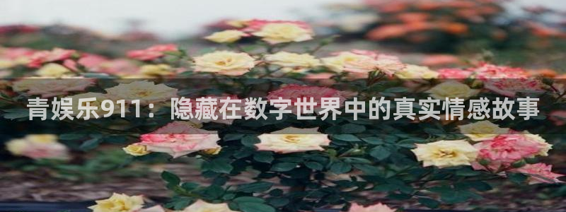 天富平台代理：青娱乐911：隐藏在数字世界中的真实情感故事