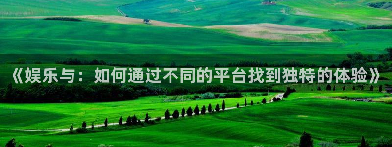 天富平台app注册地址：《娱乐与：如何通过不同的平台找到独特的体验》