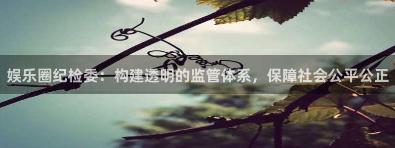 天富平台登陆：娱乐圈纪检委：构建透明的监管体系，保障社会公平公正