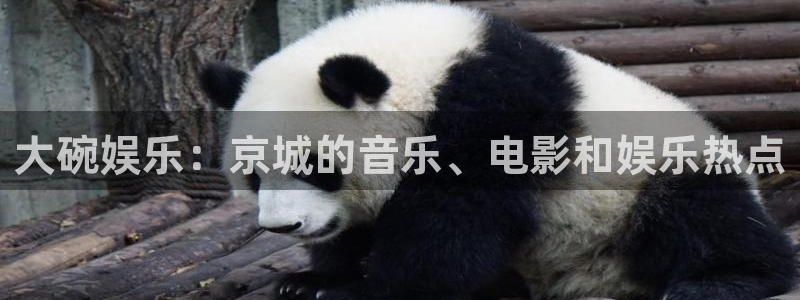 天富平台注册链接：大碗娱乐：京城的音乐、电影和娱乐热点