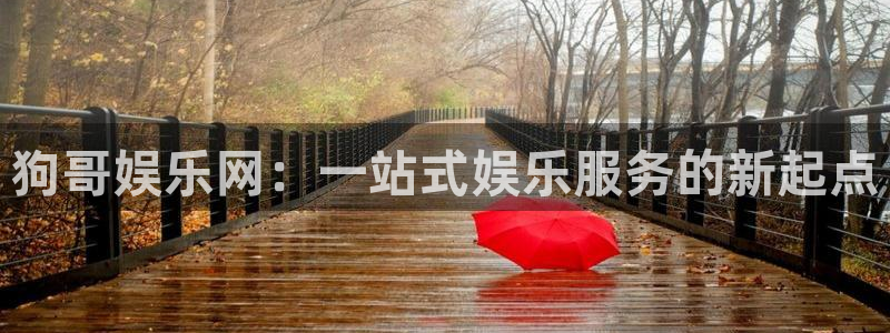 天富平台下载链接是多少：狗哥娱乐网：一站式娱乐服务的新起点