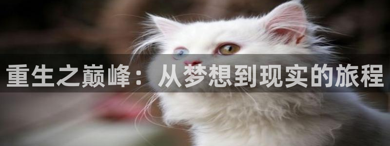 天富平台体育凯捷平台注册：重生之巅峰：从梦想到现实的旅程