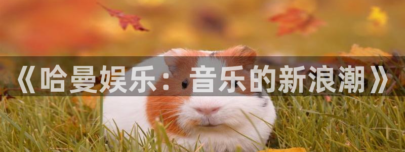 天富平台app新版上线体验.游戏更新入口.中国
