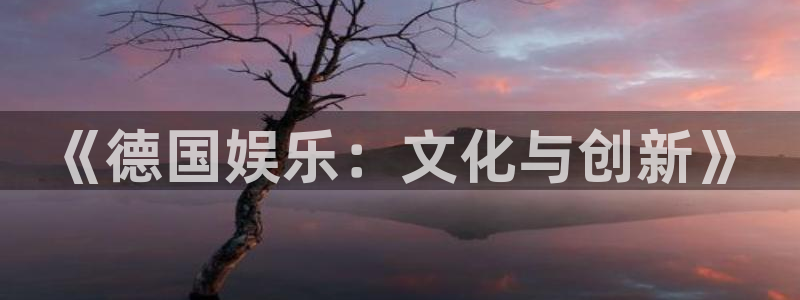 天富平台app注册地址：《德国娱乐：文化与创新》