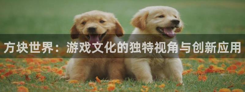 天富平台平台注册账号：方块世界：游戏文化的独特视角与创新应用