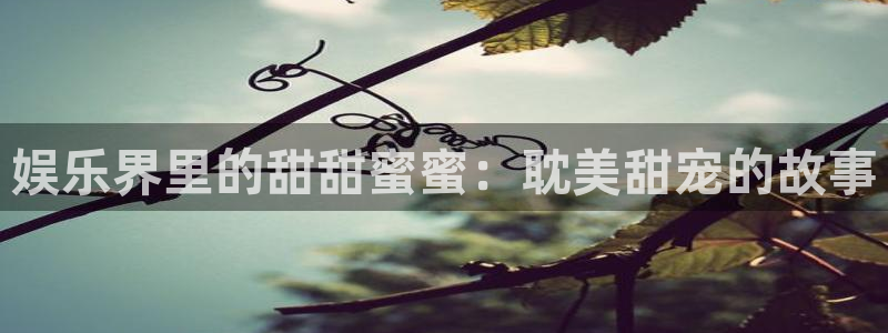 天富平台体育凯捷平台招商：娱乐界里的甜甜蜜蜜：耽美甜宠的故事