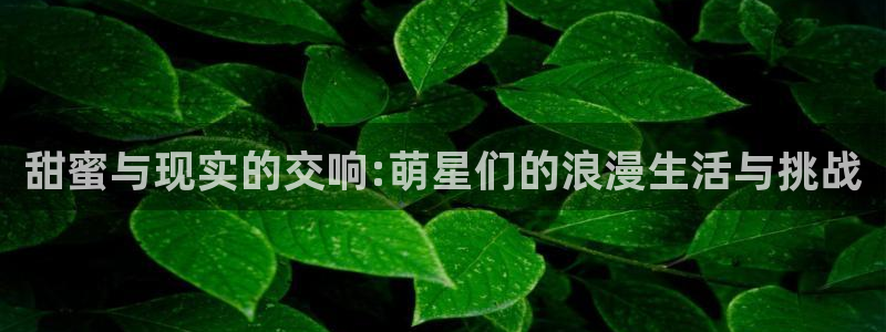 天富平台ccmpc麻将胡了：甜蜜与现实的交响:萌星们的浪漫生活与挑战